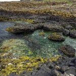 Giant’s Causeway