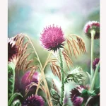 1-Hidden-beauty-18-X-24-inches-oil-on-canvas